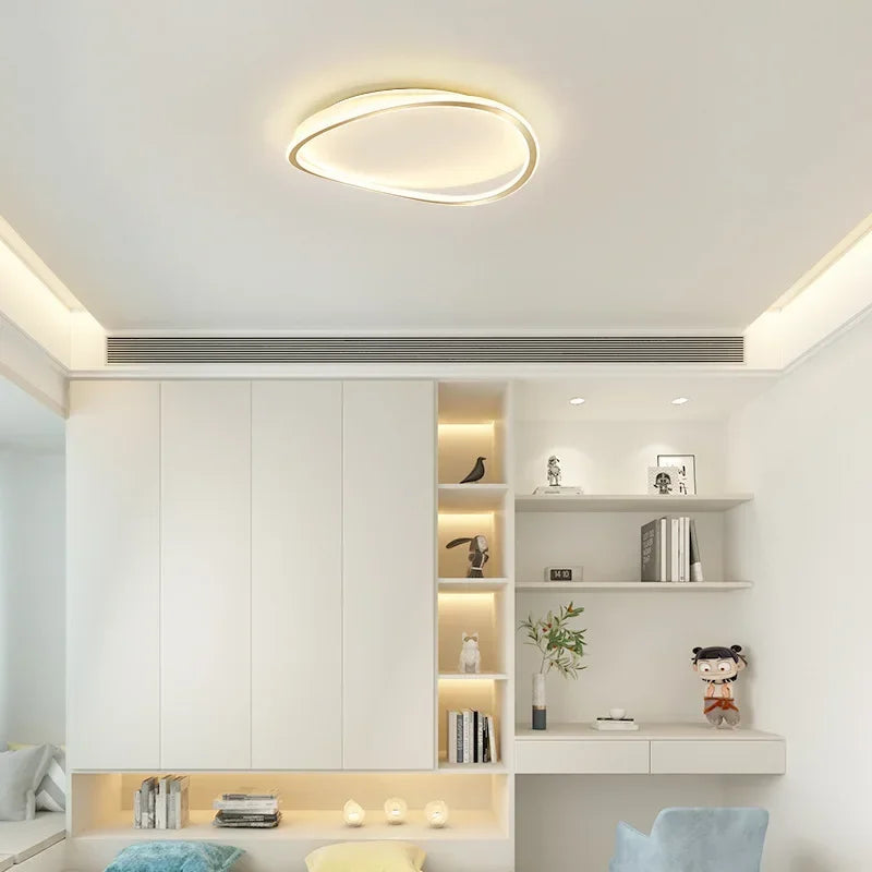 Modern LED Ceiling chandelier Lamp