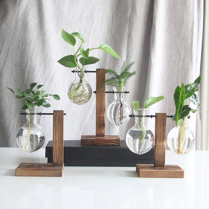 Wooden Glass Desktop Planter Bulb Vase