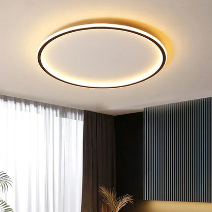 Nordic Minimalist LED Ceiling Light