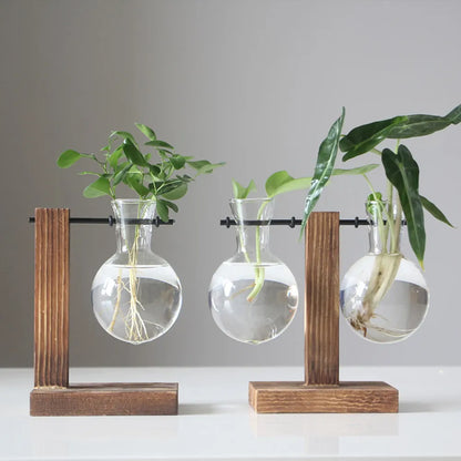 Wooden Glass Desktop Planter Bulb Vase