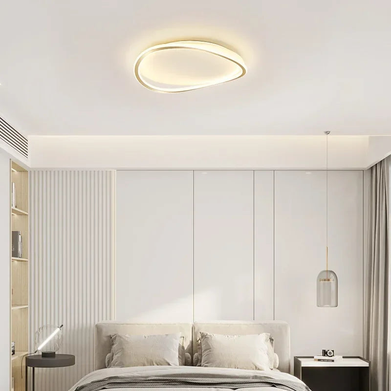 Modern LED Ceiling chandelier Lamp