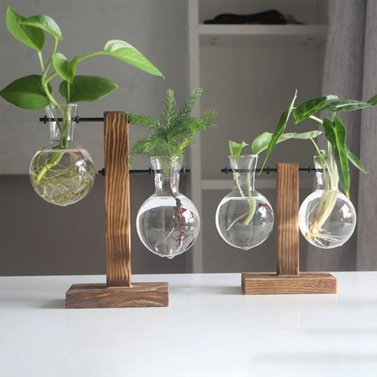 Wooden Glass Desktop Planter Bulb Vase